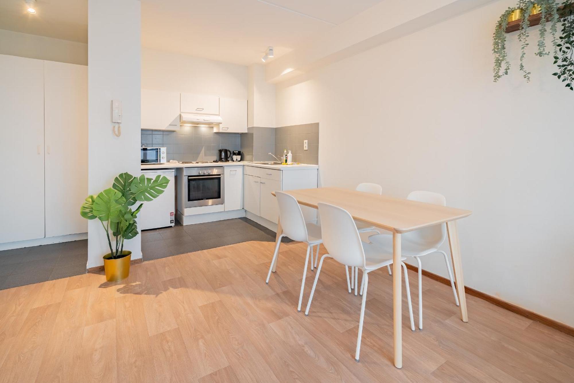 Bright In The Heart Of Apartment Antwerp