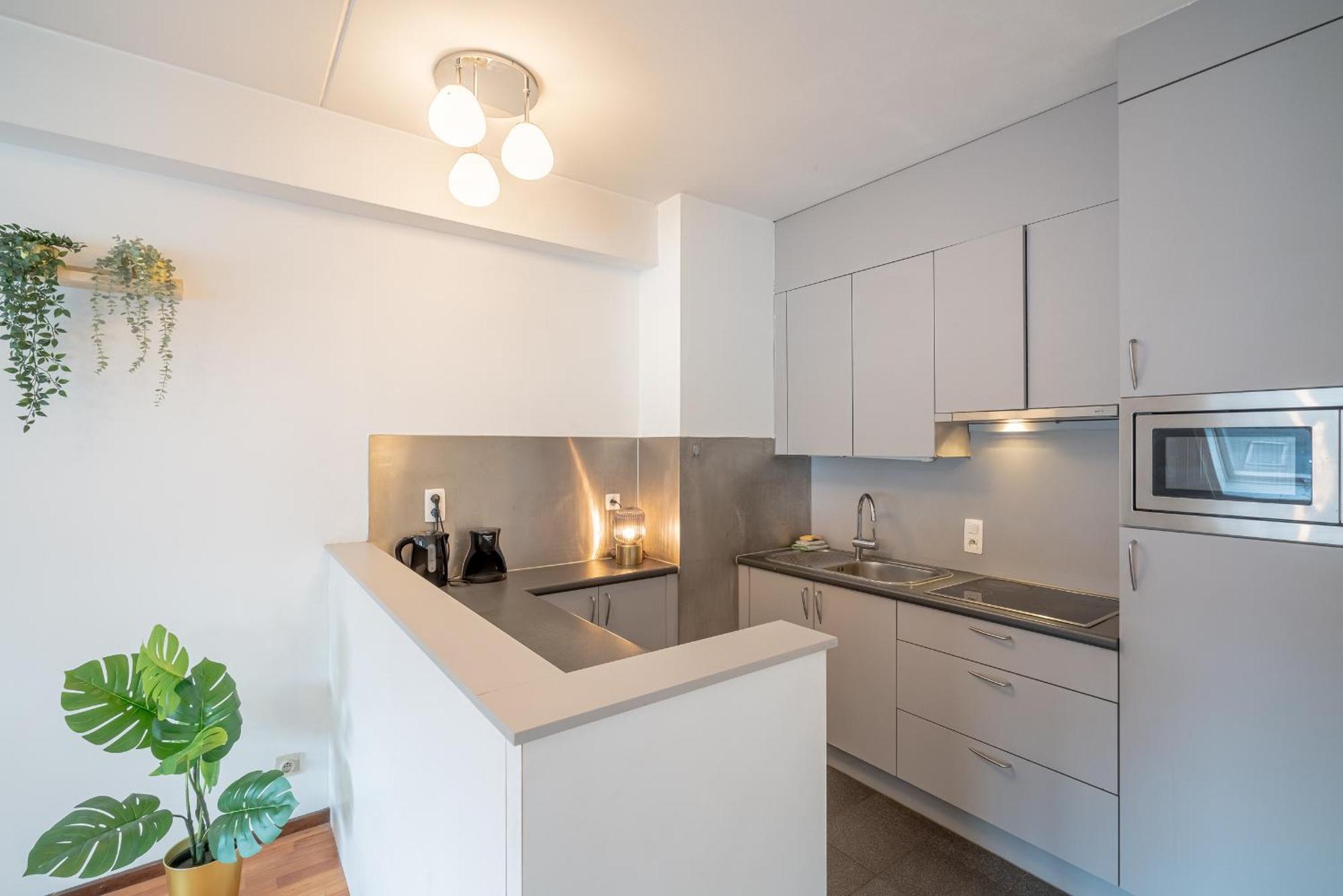 Bright In The Heart Of Apartment Antwerp